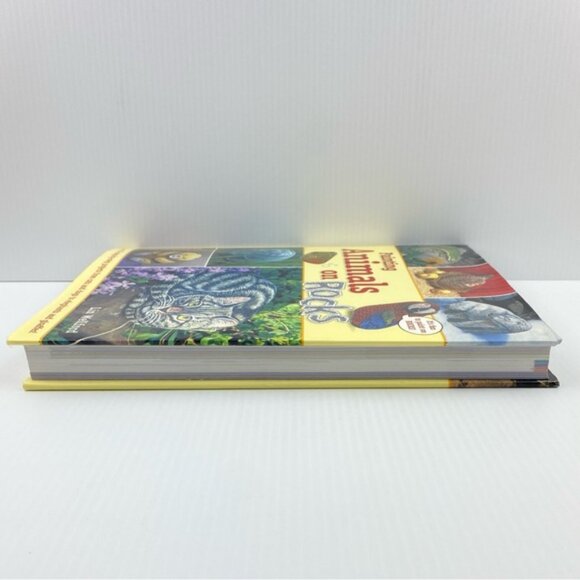 Painting Animals on Rocks by Lin Welford Hardcover Craft Book 2003 - Picture 6 of 12